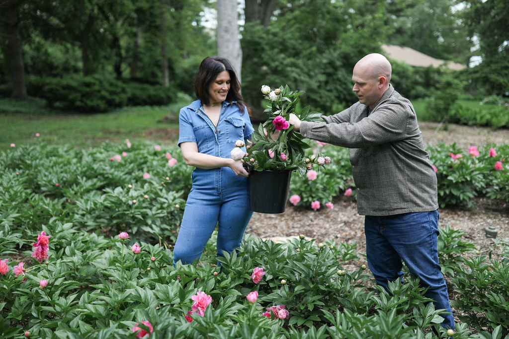 Are Peonies Easy to Grow? 5 Reasons They're the Easiest Plant in the Garden