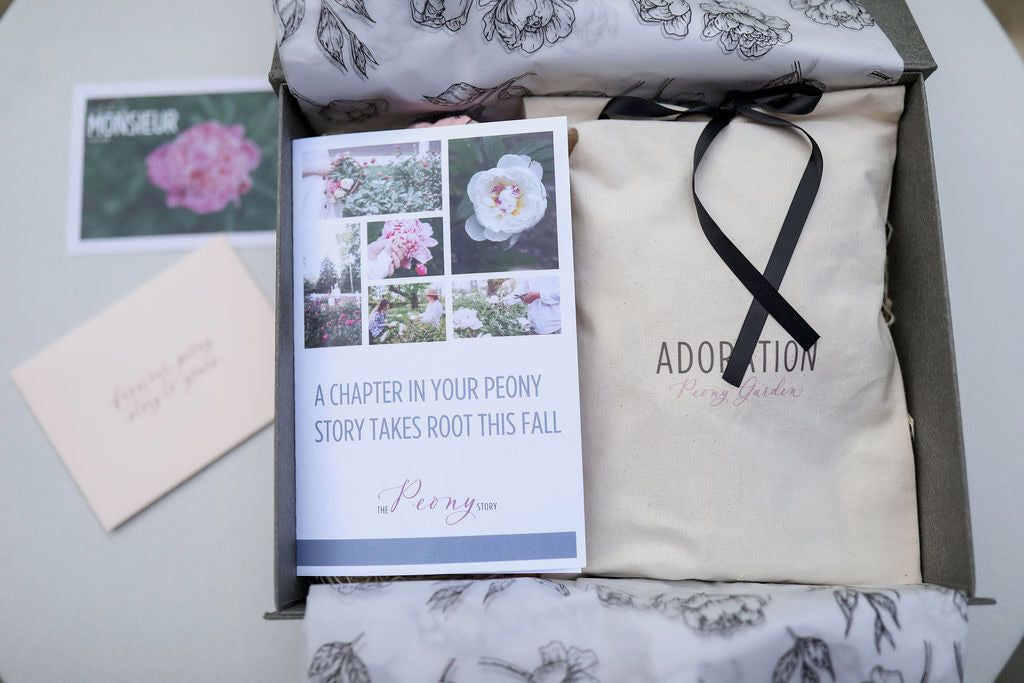 The Peony Story Root Gift | Giftable 3/5 Peony Roots