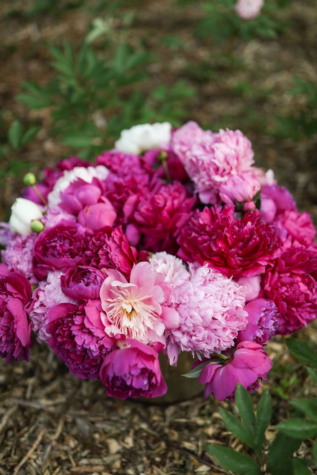 Lush peony blooms in a basket from Adoration Peony Garden