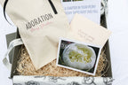 The Peony Story Keepsake Root | Duchesse De Nemours