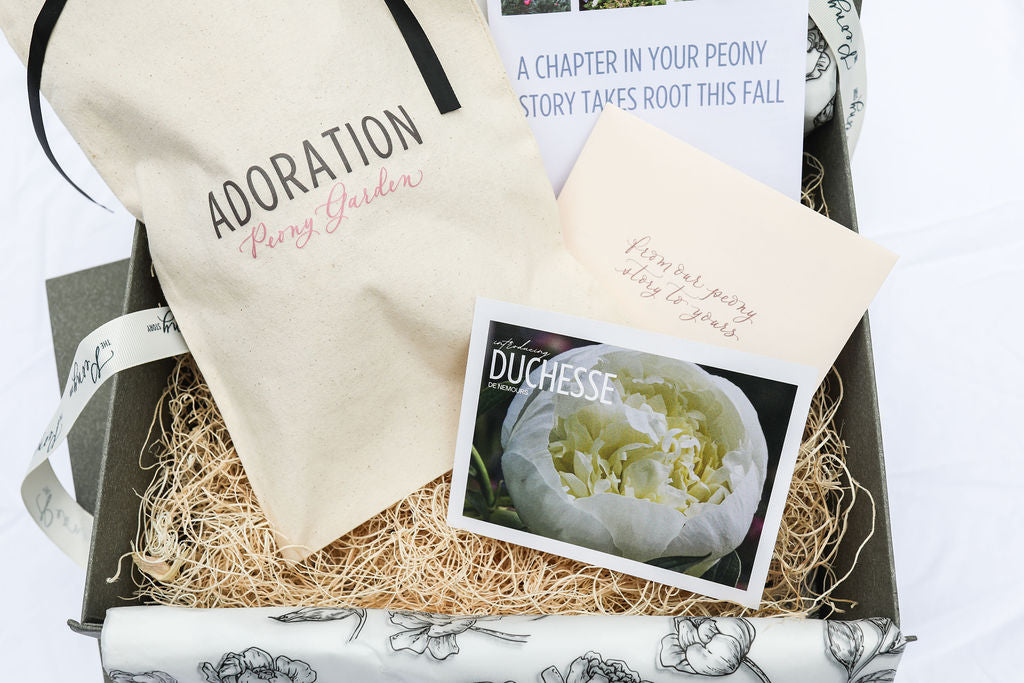 The Peony Story Keepsake Root | Duchesse De Nemours