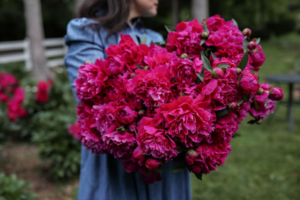 Person holding a large bouquet of pink flowers outdoors