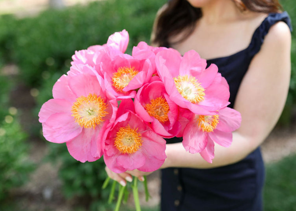 Woman holding a bouquet of pink flowers with a blurred green background
