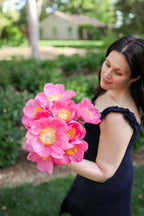 The Peony Story Root Gift | Honor 3/5 Eye Peony Root