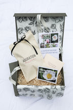 The Peony Story Root Gift | Jan Van Leeuwen 3/5 Eye Peony Root