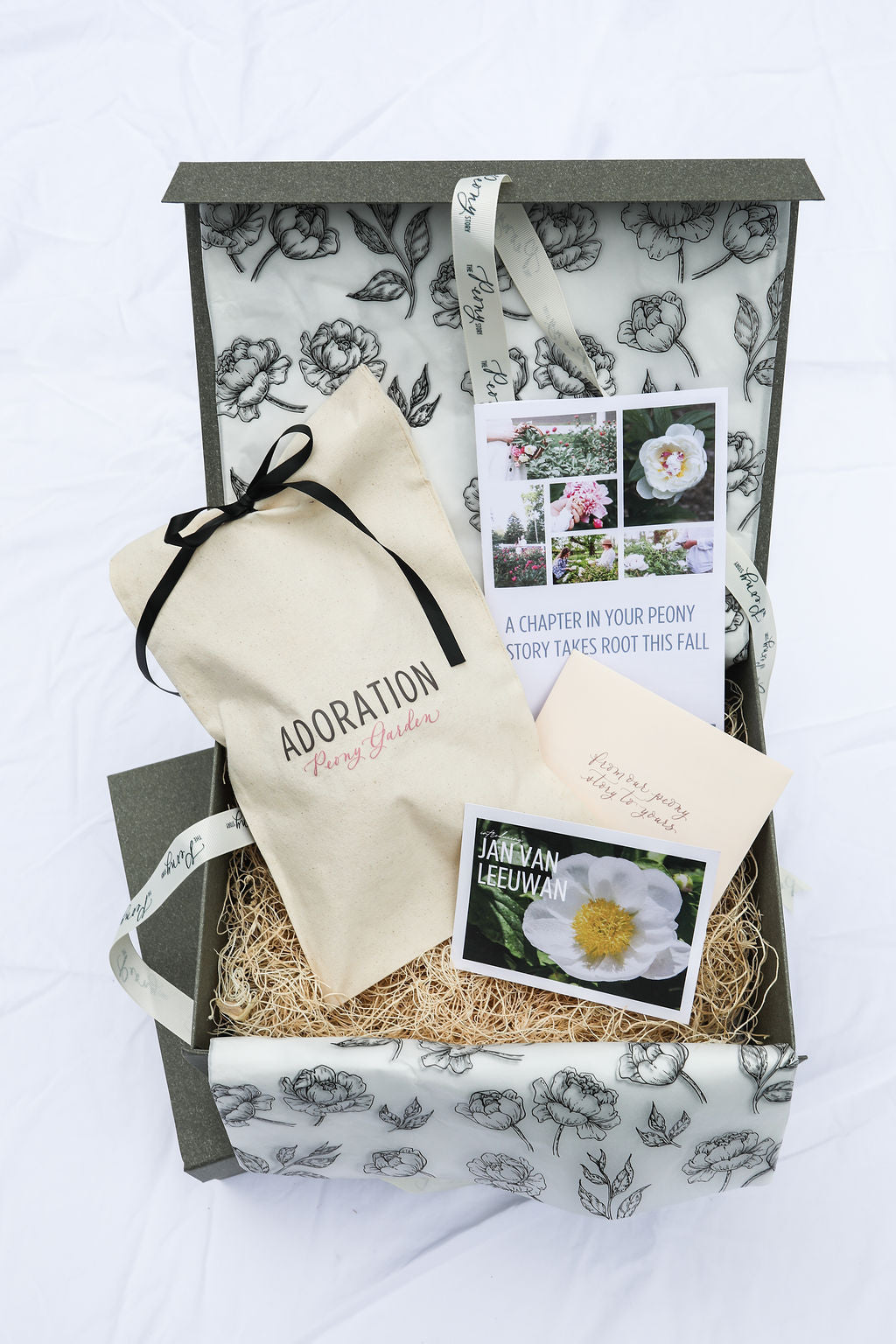 The Peony Story Root Gift | Jan Van Leeuwen 3/5 Eye Peony Root