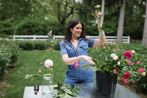 Kristin Swenson arranging fresh-cut peonies in the Adoration Peony Garden