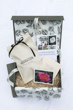 The Peony Story Root Gift | Leslie Peck 3/5 Eye Peony Root