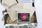 The Peony Story Root Gift | Honor 3/5 Eye Peony Root