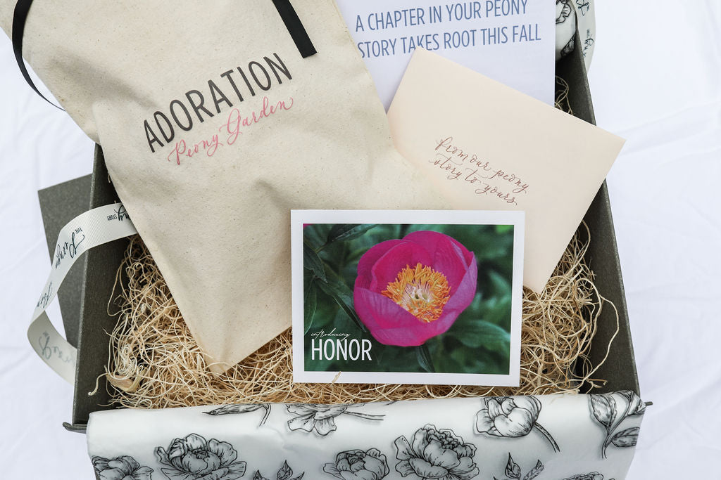 The Peony Story Root Gift | Honor 3/5 Eye Peony Root