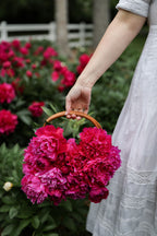 The Peony of the Year | Grover Cleveland | 1 Peony Root