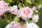 The Peony Garden Party Collection | 3 Peony Root Set