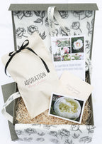 The Peony Story Root Gift 3/5 eye Duchesse De Nemours Peony Root at Adoration Peony Garden.