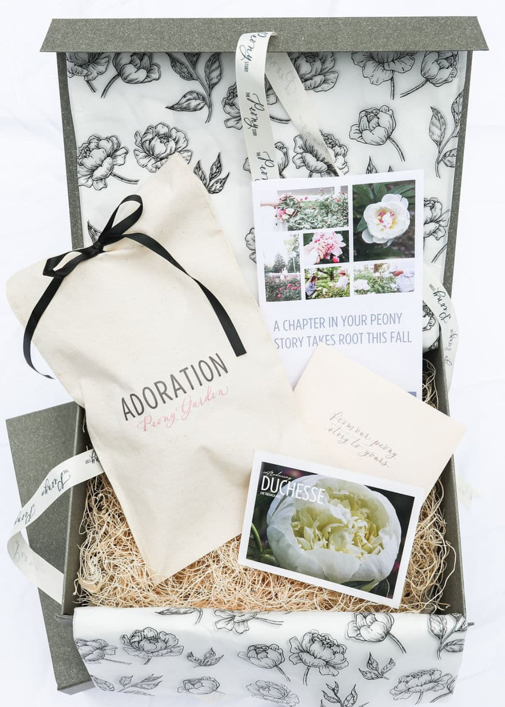 The Peony Story Root Gift 3/5 eye Duchesse De Nemours Peony Root at Adoration Peony Garden.