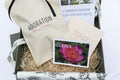 The Peony Story Keepsake Root| Leslie Peck