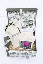 The Peony Story Root Gift | Easy Lavender Rare 3/5 Eye Peony Root