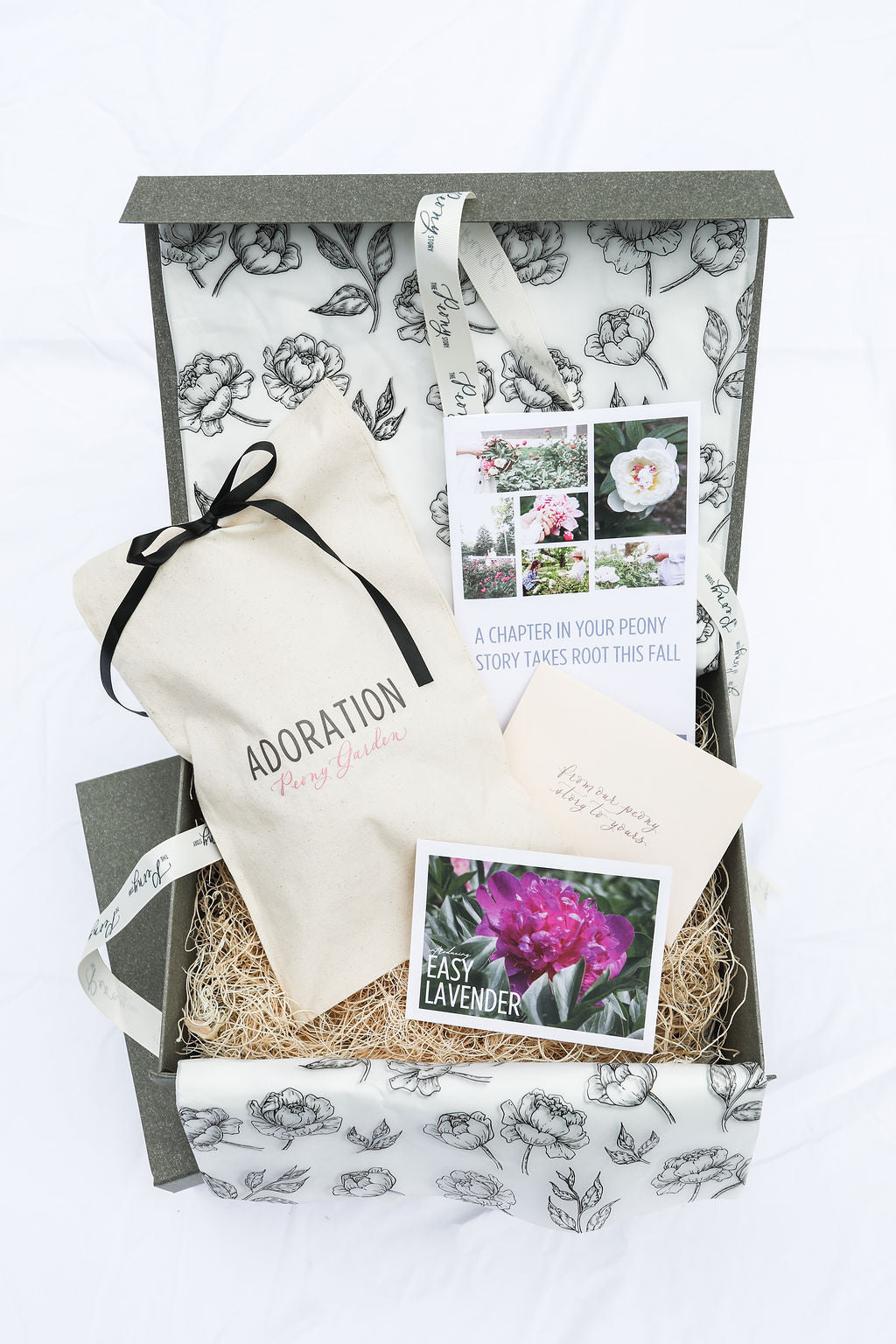 The Peony Story Root Gift | Easy Lavender Rare 3/5 Eye Peony Root