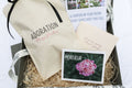 The Peony Story Keepsake Root | Monsieur Jules Elie