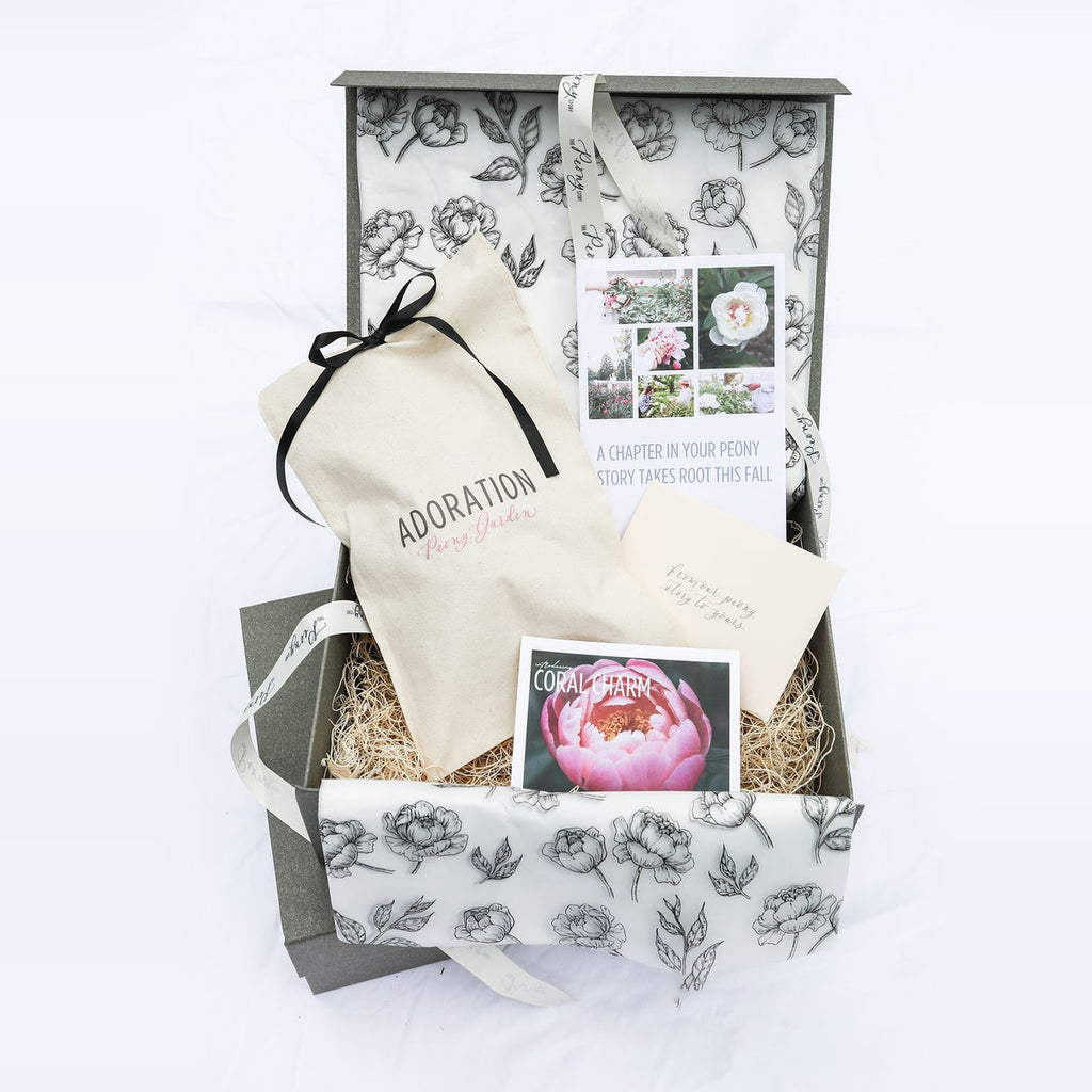 The Peony Story Keepsake Root | Coral Charm