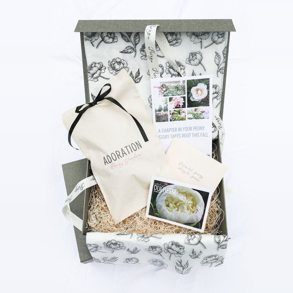 The Peony Story Keepsake Root | Duchesse De Nemours