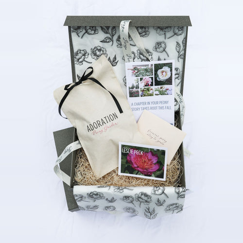 The Peony Story Keepsake Root| Leslie Peck