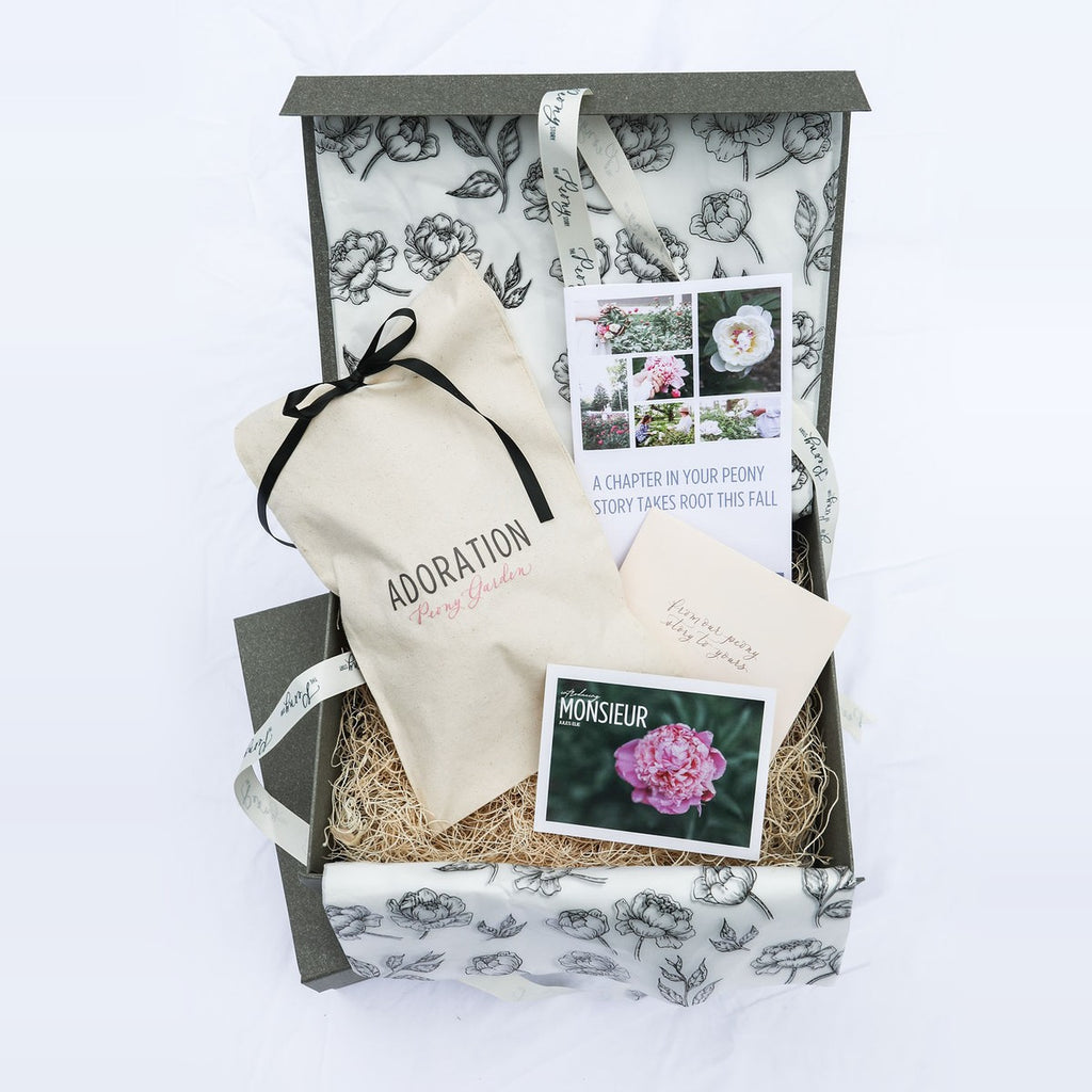 The Peony Story Keepsake Root | Monsieur Jules Elie