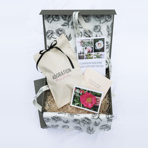 The Peony Story Keepsake Root | Paula Fay