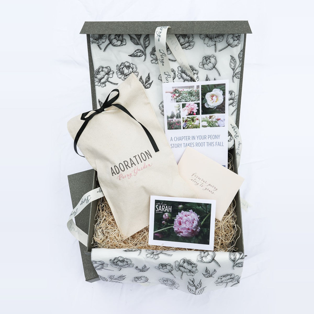The Peony Story Keepsake Root | Sarah Bernhardt